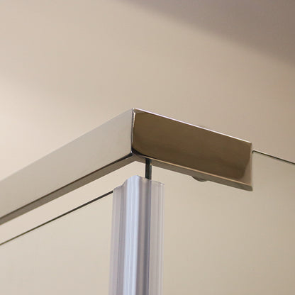 Pivot & Panel Shower Enclosure - 185H x 100W Polished Silver and Clear Glass