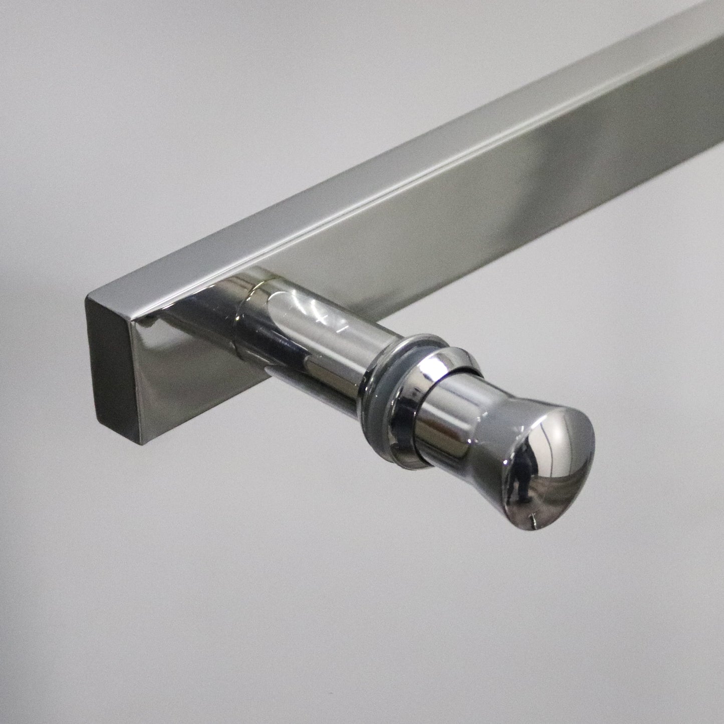 Pivot & Panel Shower Enclosure - 185H x 100W Polished Silver and Clear Glass