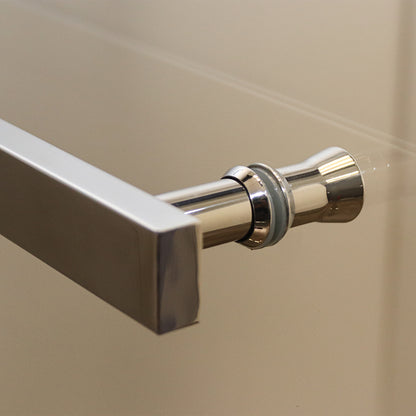 Pivot & Panel Shower Enclosure - 185H x 100W Polished Silver and Clear Glass